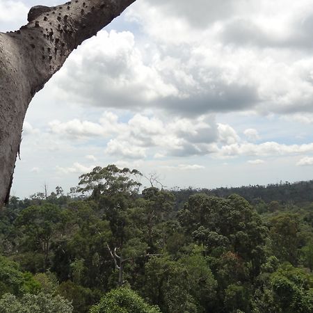 Samboja Lodge Balikpapan  Eksteriør billede