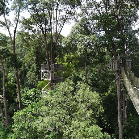 Samboja Lodge Balikpapan  Eksteriør billede