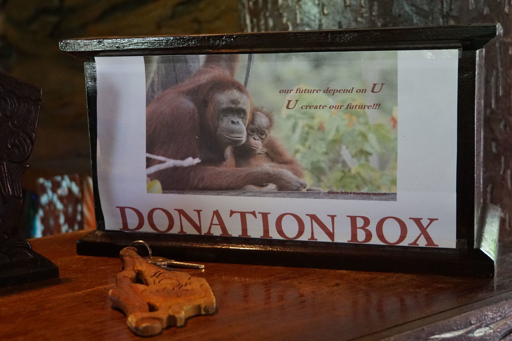 Samboja Lodge Balikpapan  Eksteriør billede