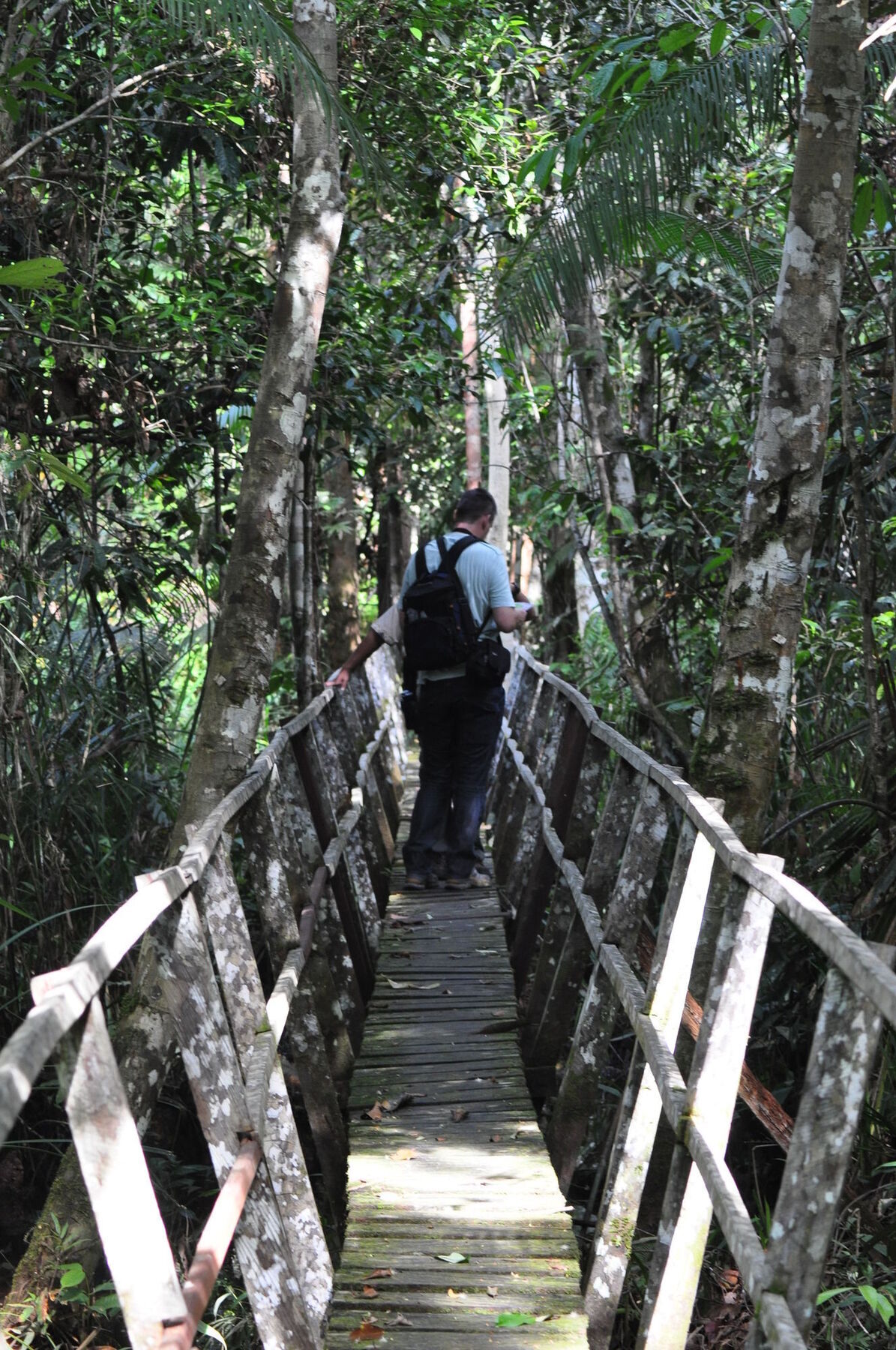 Samboja Lodge Balikpapan  Eksteriør billede