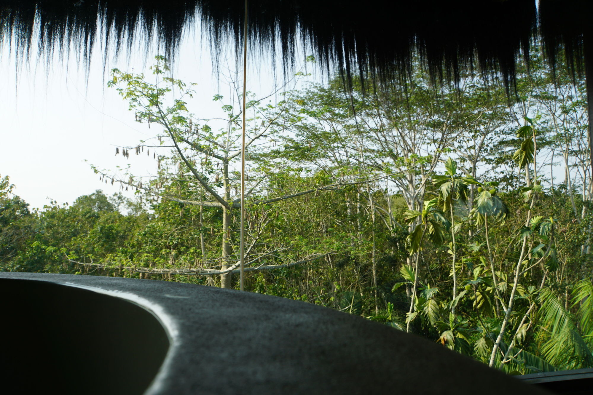 Samboja Lodge Balikpapan  Eksteriør billede