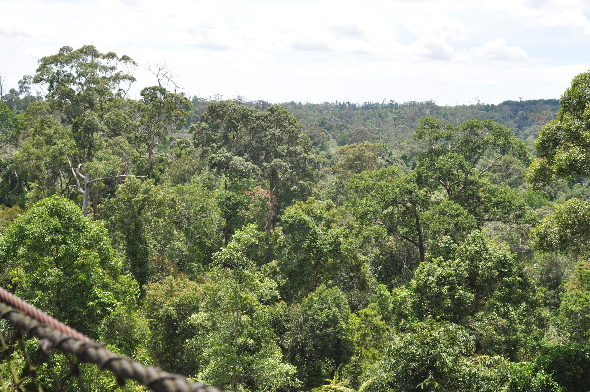 Samboja Lodge Balikpapan  Eksteriør billede