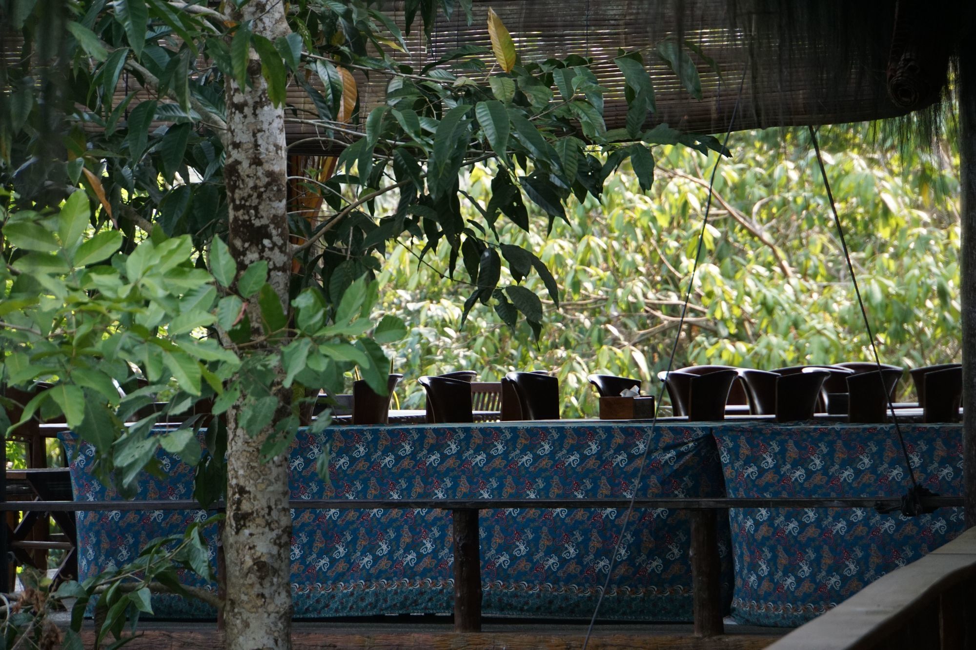 Samboja Lodge Balikpapan  Eksteriør billede