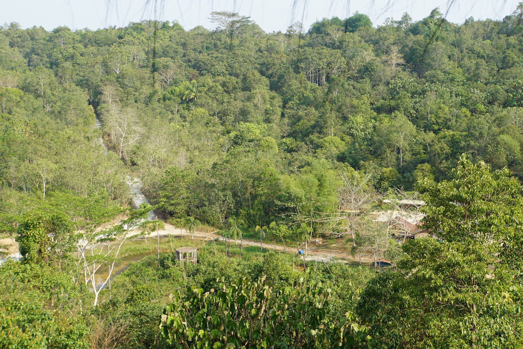 Samboja Lodge Balikpapan  Eksteriør billede