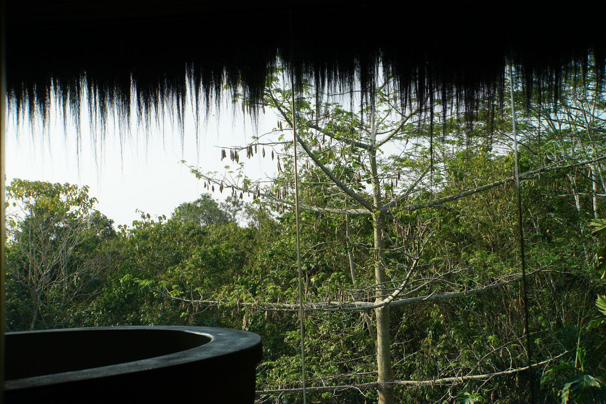 Samboja Lodge Balikpapan  Eksteriør billede