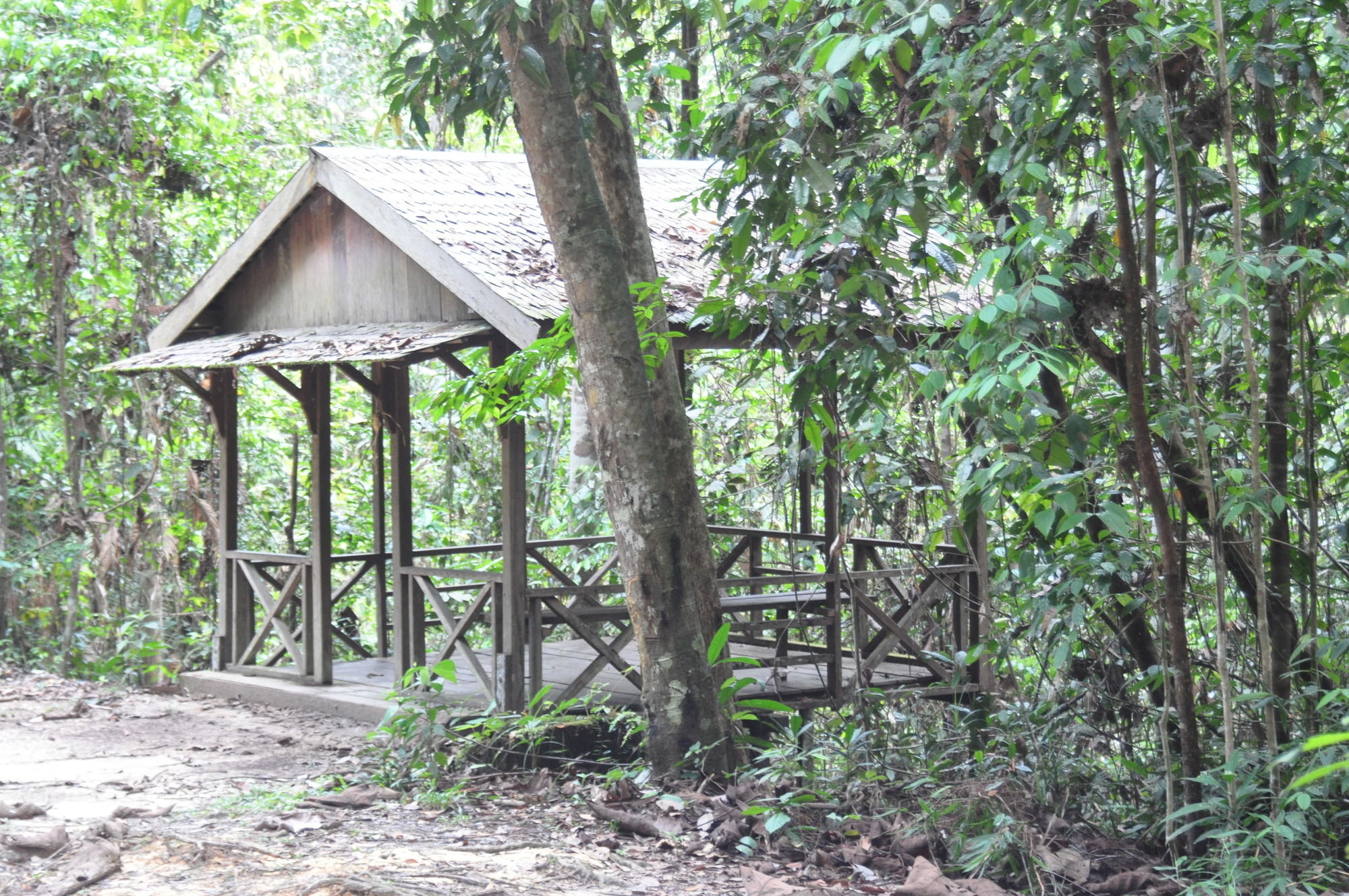Samboja Lodge Balikpapan  Eksteriør billede