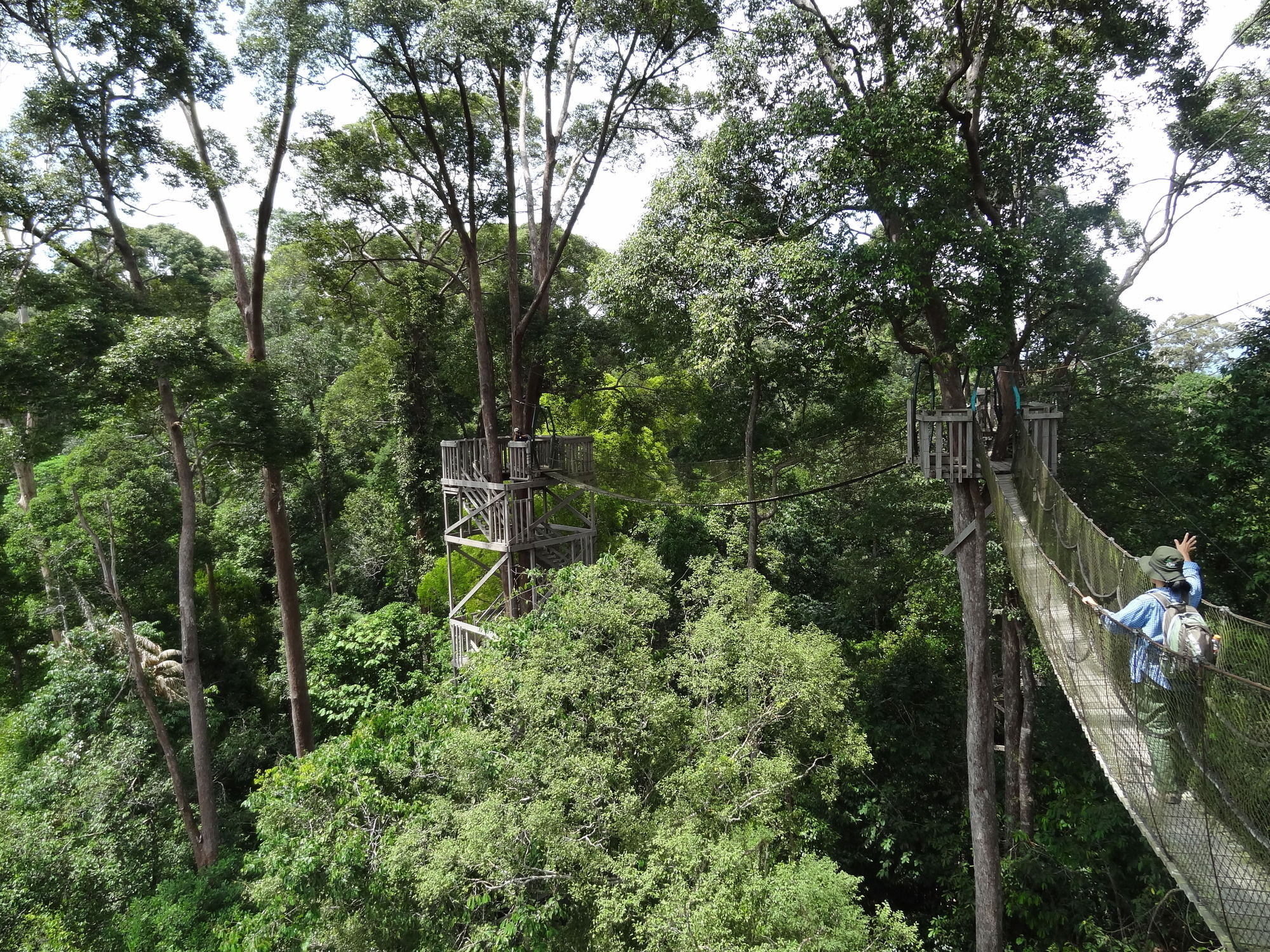 Samboja Lodge Balikpapan  Eksteriør billede