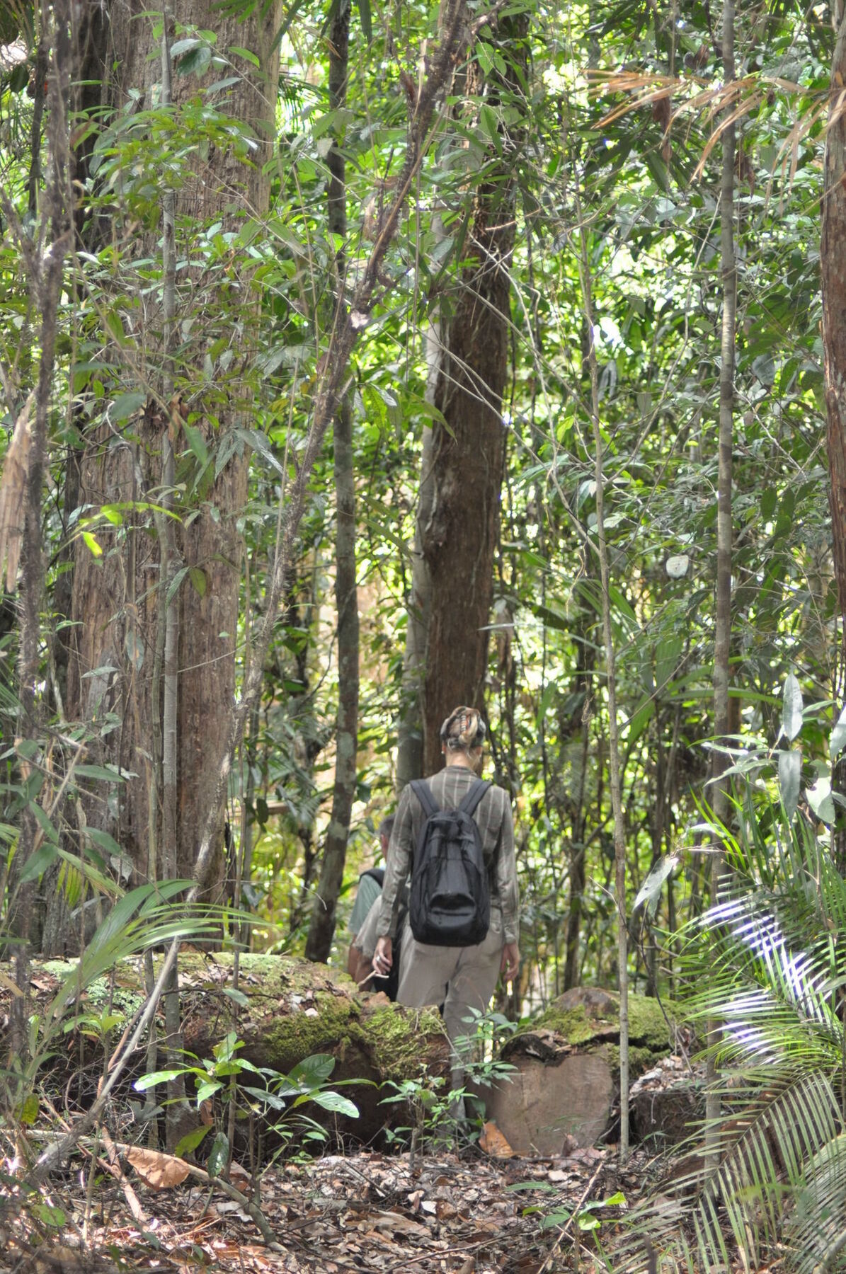 Samboja Lodge Balikpapan  Eksteriør billede