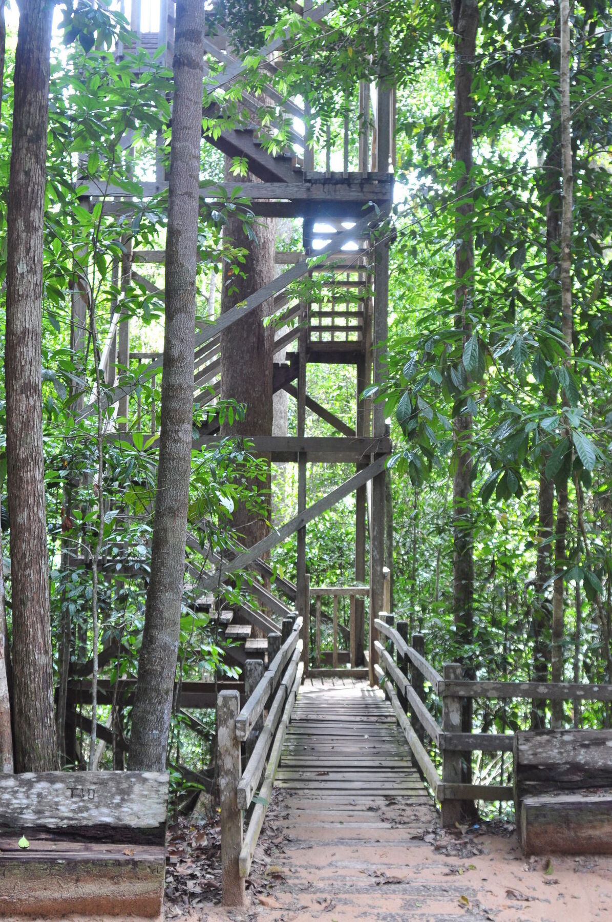 Samboja Lodge Balikpapan  Eksteriør billede